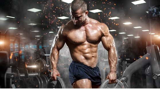 Understanding Gym Etiquette: What You Need to Know