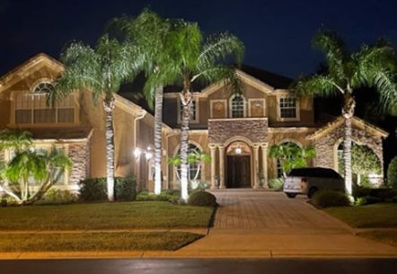 Winter Landscape Lighting Trends for Golden Oaks, FL