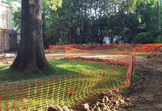 How Tree Relocation Services Can Save Your Trees During Construction